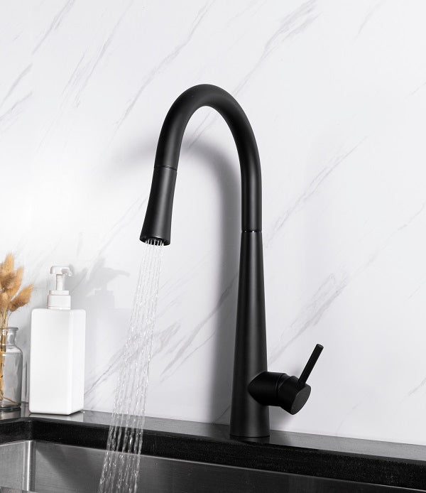 Sensor Kitchen Faucet with pull down.