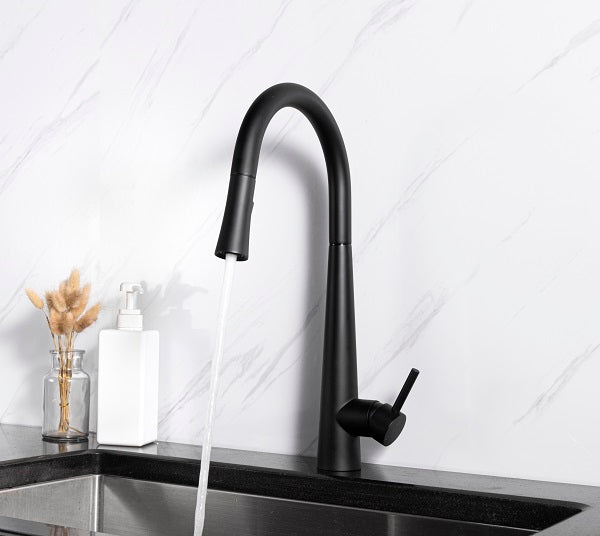Sensor Kitchen Faucet with pull down